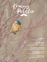 Krainy Polskie Nr 6/2024